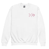YOUTH Israel crewneck sweatshirt (Pink Embroidery)