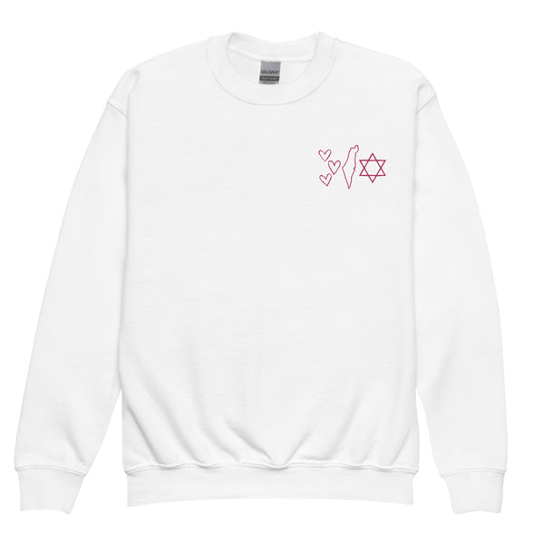 YOUTH Israel crewneck sweatshirt (Pink Embroidery)